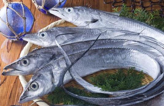 膽固醇高可以吃帶魚嗎?帶魚為什么沒(méi)有活的?