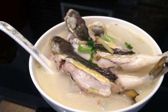 高血壓患者可以吃河豚嗎?吃河豚中毒有哪些癥狀?
