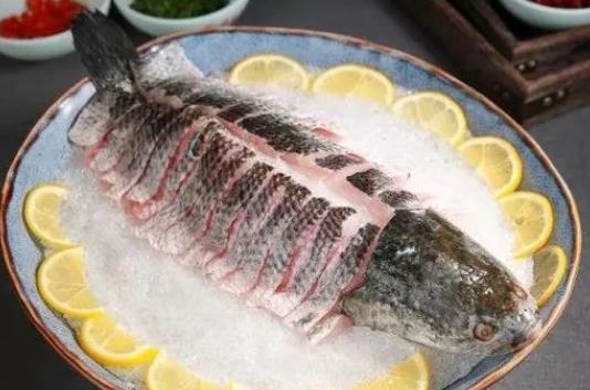 黑魚籽可以吃嗎?吃黑魚對傷口愈合有好處嗎?