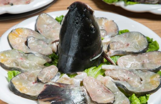 黑魚籽可以吃嗎?吃黑魚對傷口愈合有好處嗎?