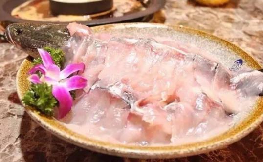 咳嗽了可以吃黑魚(yú)嗎?黑魚(yú)有哪些營(yíng)養(yǎng)成分?