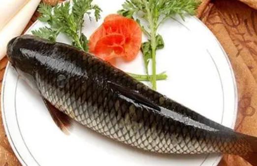 糖尿病患者可以吃草魚嗎?吃草魚會上火嗎?