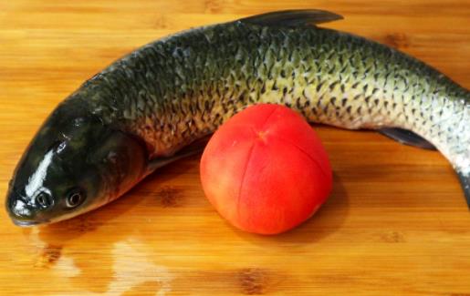 經(jīng)期可以吃草魚(yú)嗎?吃草魚(yú)可以吃柿子嗎?