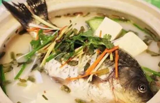 鯉魚和豆腐可以一起吃嗎?吃鯉魚有哪些好處?