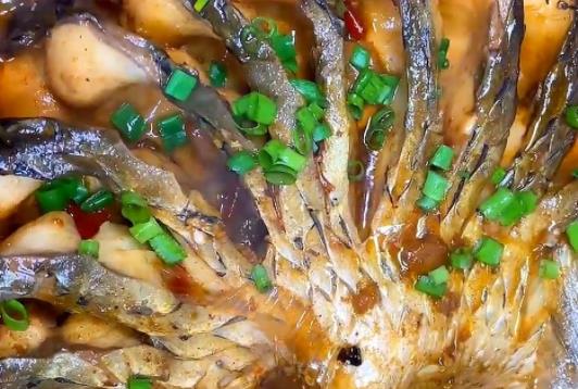 經(jīng)期可以吃草魚(yú)嗎?吃草魚(yú)可以吃柿子嗎?