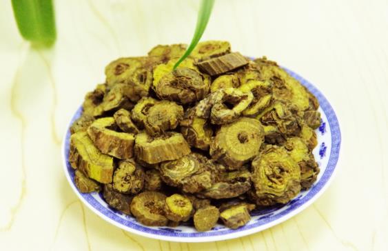 黃芩養(yǎng)肝還是傷肝 黃芩變綠的原因