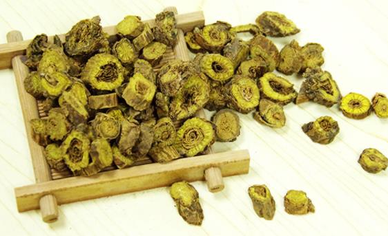 黃芩養(yǎng)肝還是傷肝 黃芩變綠的原因