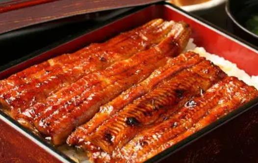 鰻魚有毒嗎?吃鰻魚需要注意什么?