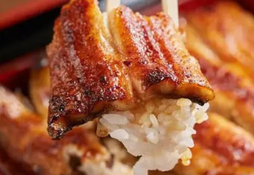 高血脂患者可以吃鰻魚嗎?鰻魚有哪些營(yíng)養(yǎng)價(jià)值?