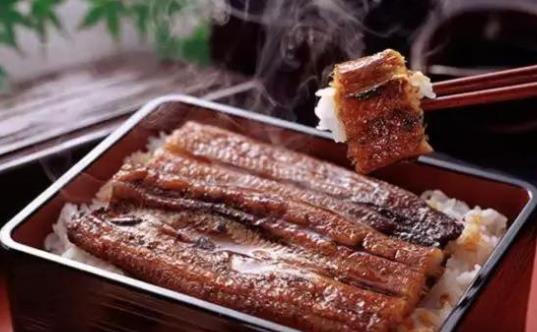 吃鰻魚(yú)真的以可補(bǔ)腎嗎?鰻魚(yú)的哪些部位不能吃?