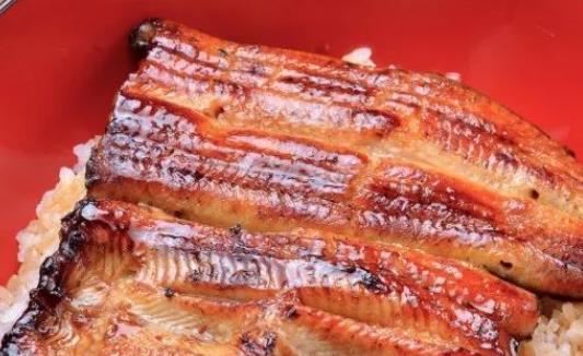 糖尿病患者可以吃鰻魚嗎?鰻魚可以和牛肉一起吃嗎?