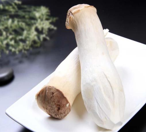 杏鮑菇切好了可以第二天炒嗎 杏鮑菇要不要焯水