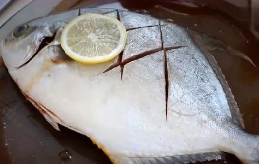 孕婦可以吃金鯧魚嗎?金鯧魚有哪些價(jià)值?