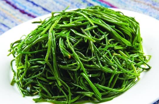 吃沙蔥要注意什么事項(xiàng)?沙蔥羊肉包餃子好吃嗎?