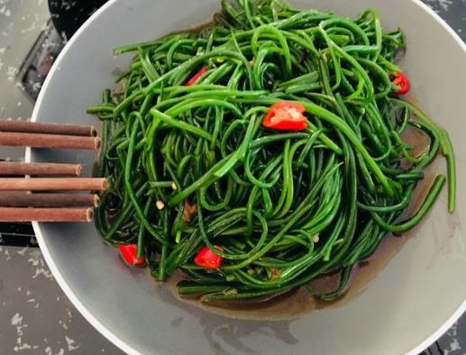 沙蔥是實心的還是空心的?沙蔥是不是就是野韭菜?