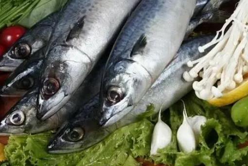 糖尿病患者可以吃馬鮫魚嗎?馬鮫魚有哪些營(yíng)養(yǎng)價(jià)值?
