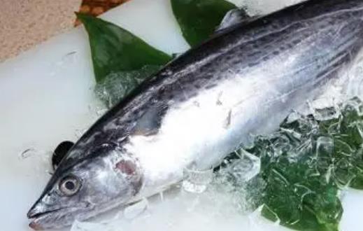 糖尿病患者可以吃馬鮫魚嗎?馬鮫魚有哪些營(yíng)養(yǎng)價(jià)值?