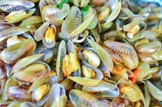經(jīng)期可以吃海瓜子嗎?海瓜子不能和什么一起吃?