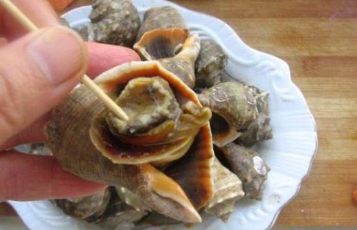 孕婦可以吃海螺嗎?海螺的內(nèi)臟可以吃嗎?