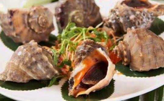 經(jīng)期可以吃海螺嗎?海螺有哪些功效?