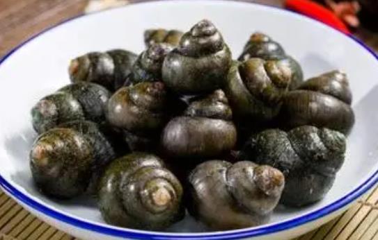 石螺是發(fā)物嗎?吃石螺有哪些好處?