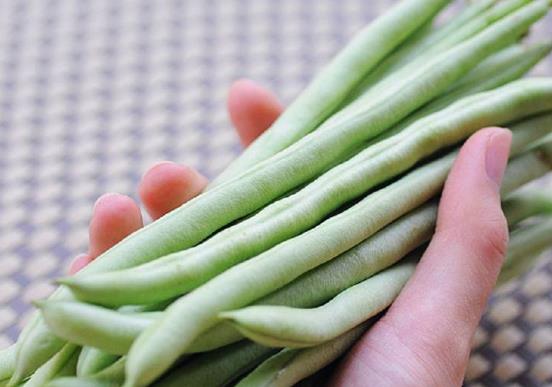 吃四季豆為什么會(huì)中毒?四季豆的食用功效