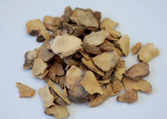 土茯苓圖片,土茯苓的功效與作用
