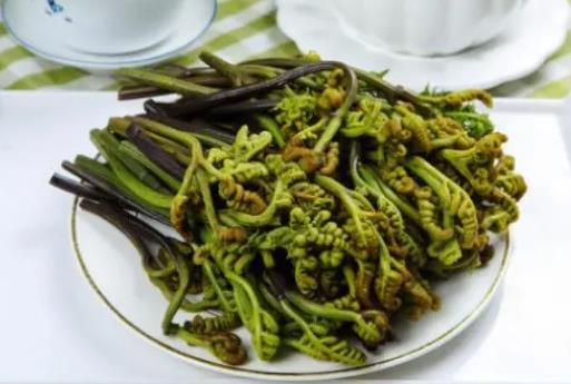 蕨菜如何去除致癌物?怎么避免吃蕨菜致癌?