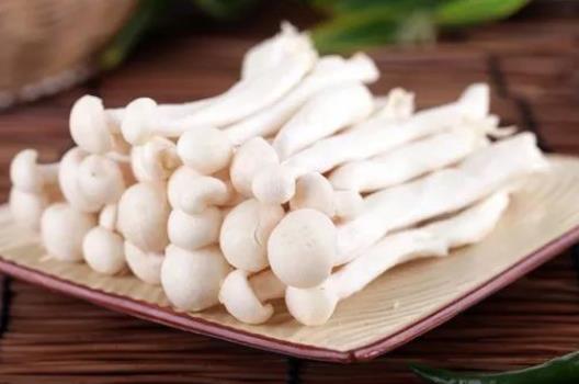 海鮮菇是什么?海鮮菇有哪些功效?