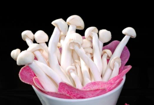 孕婦可以吃海鮮菇嗎?吃海鮮菇有哪些好處?