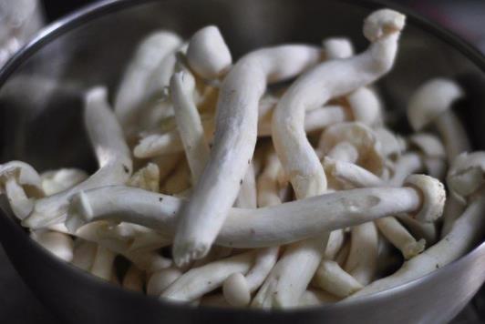 產(chǎn)后可以吃海鮮菇嗎?海鮮菇可以隔夜吃嗎?
