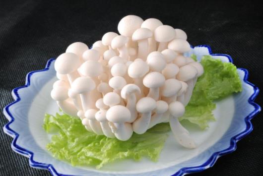 孕婦可以吃白玉菇嗎?孕婦吃白玉菇有哪些好處?
