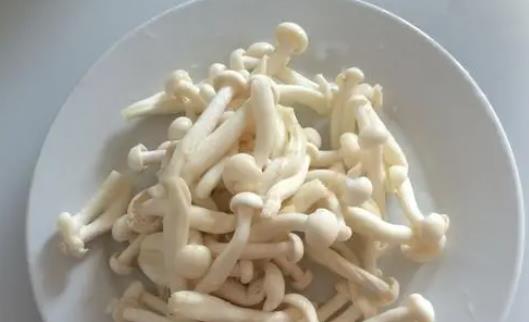 白玉菇不焯水有毒嗎?吃白玉菇有哪些好處?