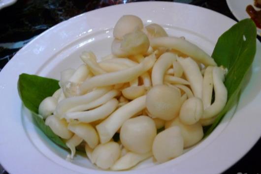 白玉菇不焯水有毒嗎?吃白玉菇有哪些好處?