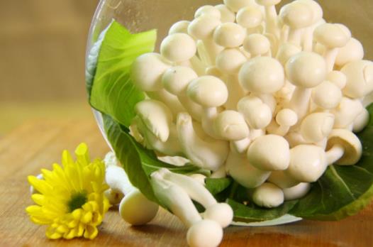 白玉菇是發(fā)物嗎?哪些人不宜吃白玉菇?