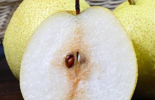 秋月梨和雪梨功效一樣嗎 哪種梨止咳效果好