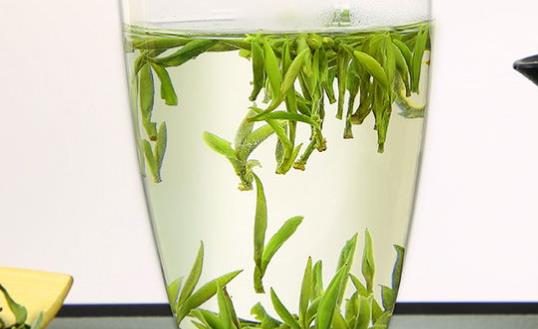 黃山毛峰綠茶生產(chǎn)地是在何處 黃山毛峰用什么杯子沖泡合適