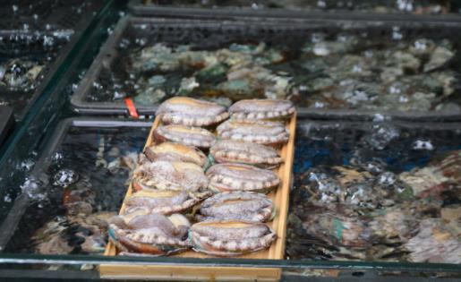 新鮮鮑魚怎樣保存時(shí)間長 如何判斷鮑魚死了