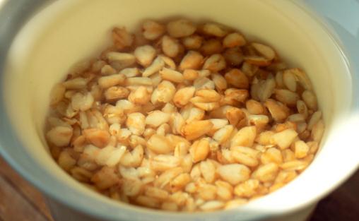 濕氣重可以喝苦蕎茶嗎 喝苦蕎茶會(huì)上火嗎