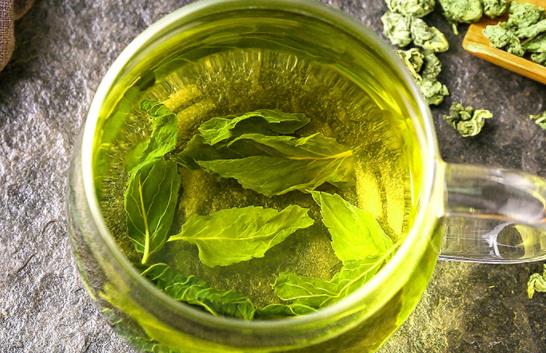 胃寒能喝薄荷葉泡水嗎 薄荷葉泡水適合哪些人喝