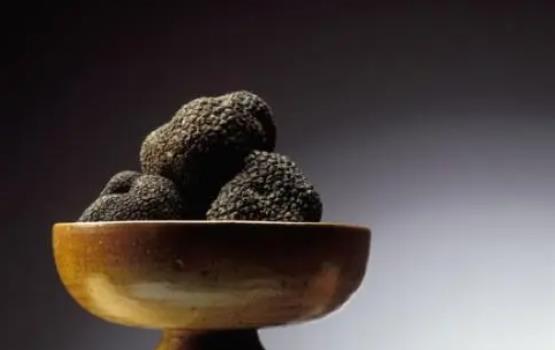 松露是發(fā)物嗎?吃松露有哪些好處?