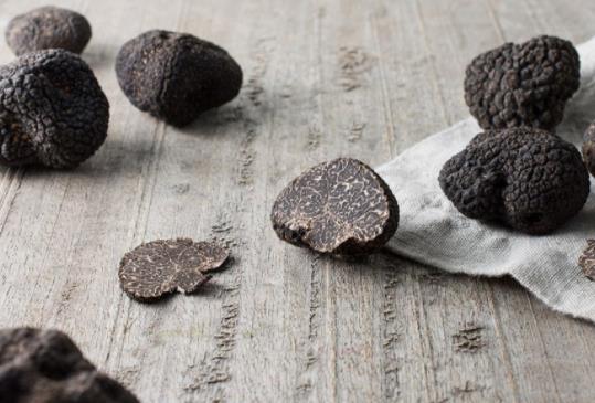 松露是發(fā)物嗎?吃松露有哪些好處?
