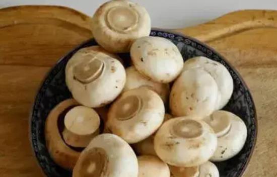 脯乳期可以吃口蘑嗎?脯乳期吃口蘑有哪些好處?