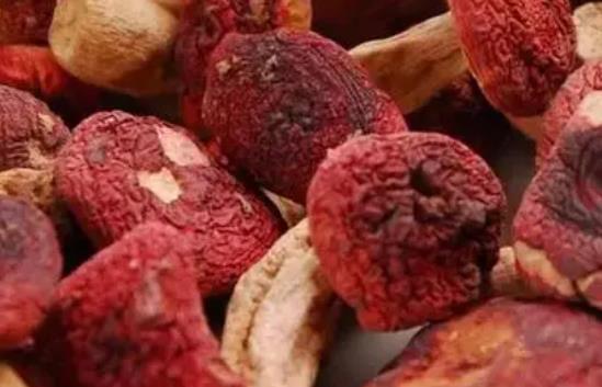 紅菇可以經(jīng)常吃嗎?吃紅菇有哪些功效?