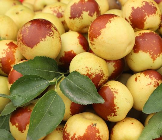 冬棗是怎么變成紅棗的?網(wǎng)上買的冬棗很青怎么辦