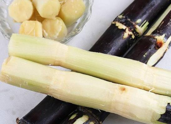 糖尿病患者可以吃甘蔗嗎?吃甘蔗對肝臟有好處嗎?