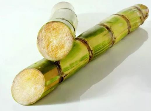 怎么知道自己吃甘蔗中毒了沒?肝不好的人能不能吃甘蔗