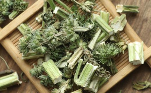 益母草喝完肚子疼怎么回事 益母草喝多長時間最好