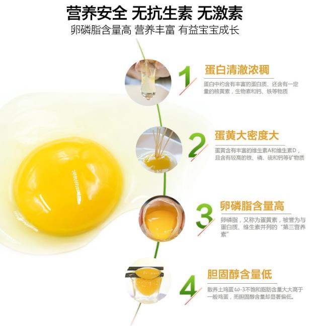 安全、高效補(bǔ)充營(yíng)養(yǎng) DHA雞蛋老少皆宜吸收率高食療好選擇