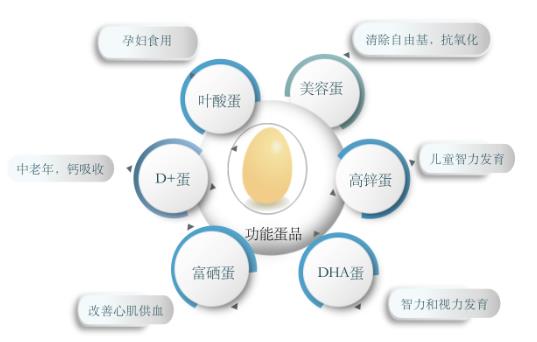 安全、高效補(bǔ)充營(yíng)養(yǎng) DHA雞蛋老少皆宜吸收率高食療好選擇